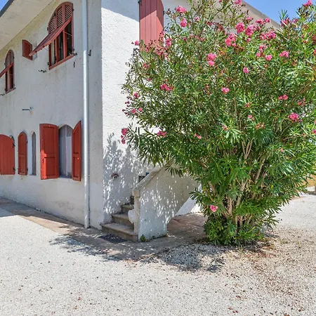 Elba Bellavista -- -- קאבו