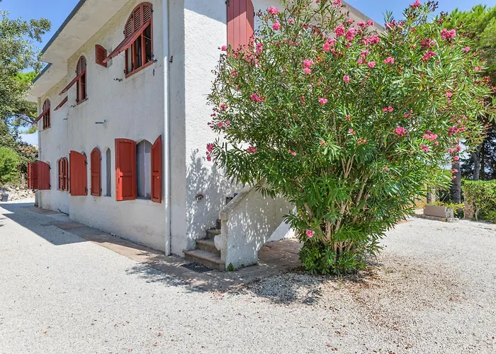 Elba Bellavista -- -- קאבו